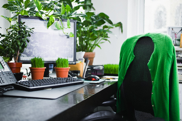 escritorio plantas