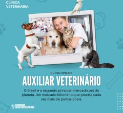curso auxiliar veterinario online
